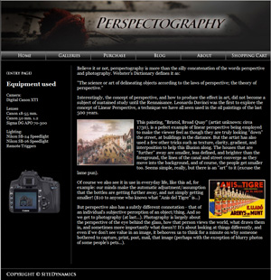 Site Dynamics: Ottawa Web Design, Unique Websites